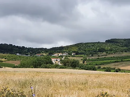 Land for sale in Arruda dos Vinhos, Portugal — €169,500