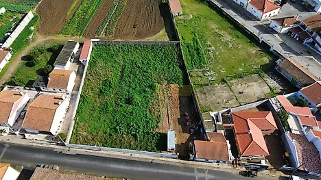 Terreno em Golegã