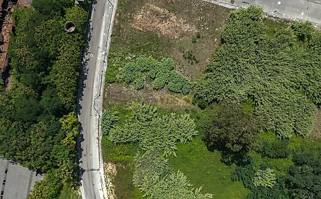 Land for sale in Mealhada, Portugal — €150,000