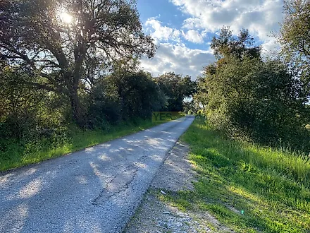 Land for sale in Montemor-o-Novo, Portugal — €249,000