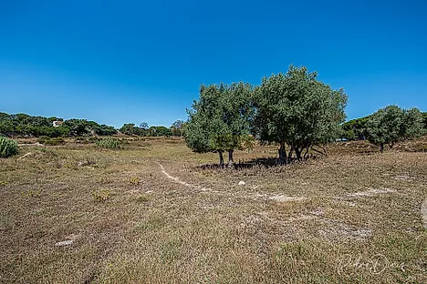 Land for sale in Seixal, Portugal — €195,000