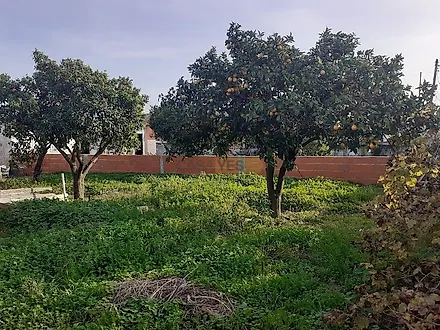 Terreno em Barreiro