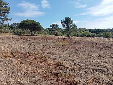 Land for sale in Sesimbra, Portugal — €130,000