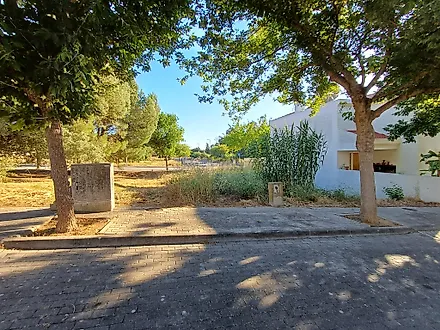 Terreno em Entroncamento