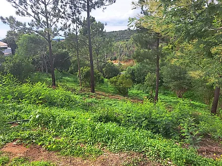 Land for sale in Monchique, Portugal — €170,000