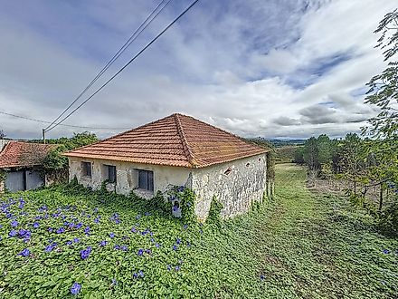 Land for sale in Alcobaça, Portugal — €90,000