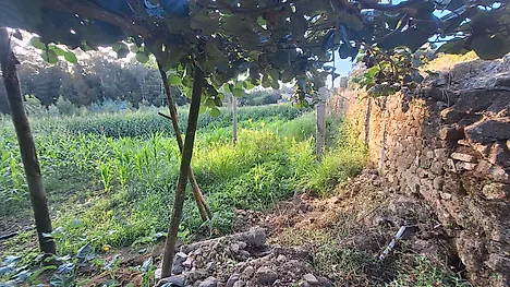 Land for sale in Vila do Conde, Portugal — €220,000