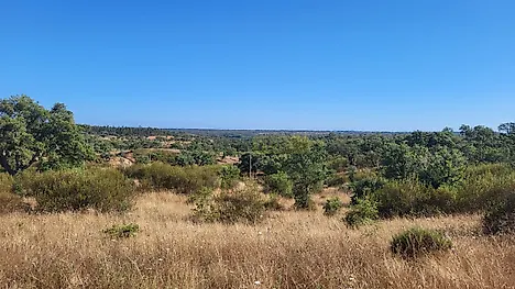 Land for sale in Santiago do Cacém, Portugal — €175,000
