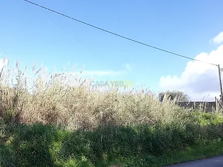 Land for sale in Alcobaça, Portugal — €55,000