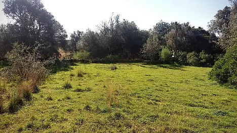 image-CSFqoSUOnBV-0
