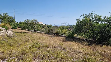 image-HmUDInaQQ1t-0