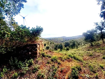 image-KbCp8LaONSv-0