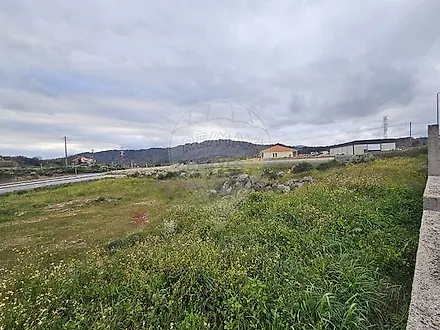 image-EctX1qsG7lG-0