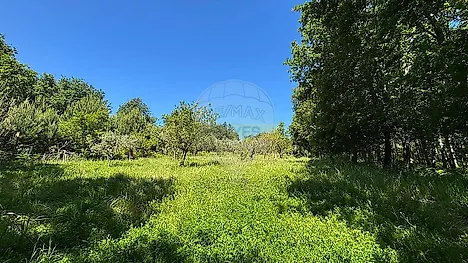 image-FbZj60xvqXD-0