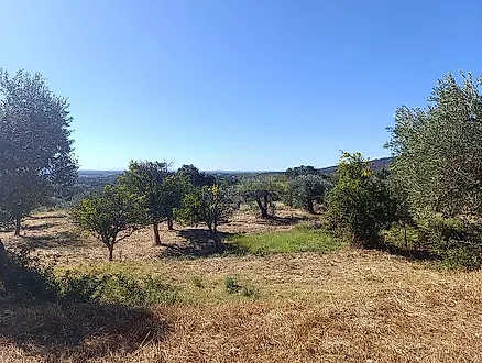 image-IH3XJmRrzF-0