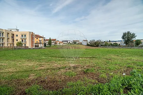 Land for sale in Albergaria-a-Velha, Portugal — €599,000
