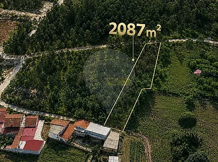 image-4t5eO6J0X73-0