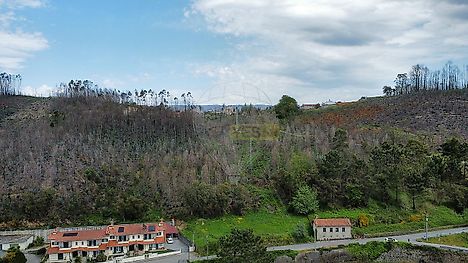 Land for sale in Albergaria-a-Velha, Portugal — €60,000