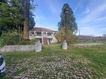 image-obRV8igqZp-0