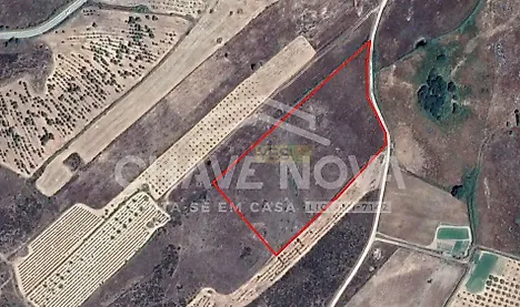listing-DCl66MFOUNG