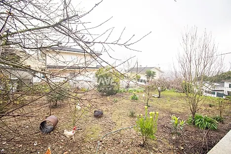 listing-6OYpCKCX6MM