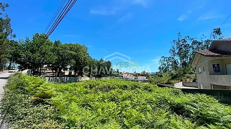 image-GjqHY8k5YzV-0