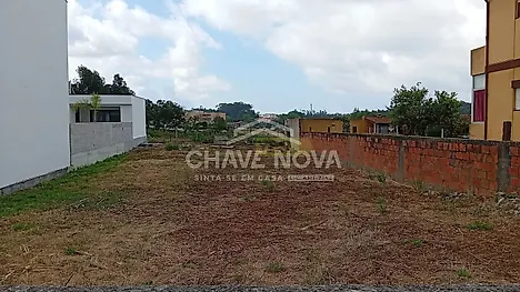 image-Gqgc6SMaokw-0