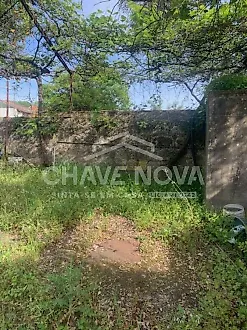 image-435IPsrV1lp-0