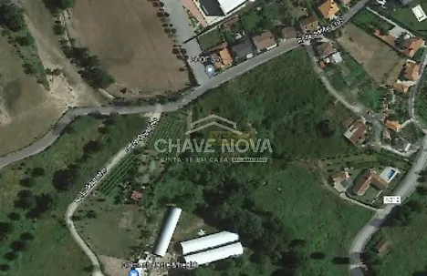 image-53ncuOJvYis-0