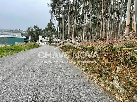 Land for sale in Oliveira de Azeméis, Portugal — €90,000