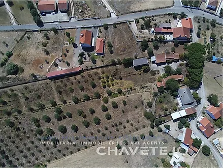 image-137k86OE1AY-0