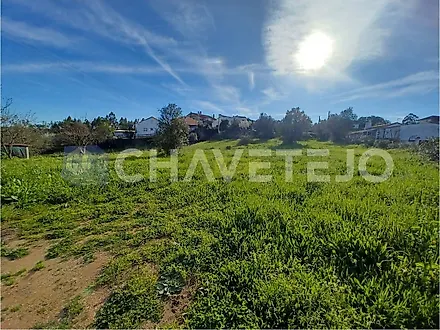 Land for sale in Tomar, Portugal — €60,000