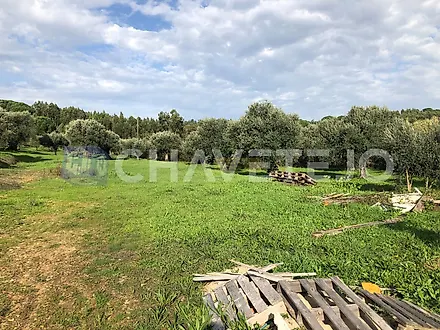 Land for sale in Tomar, Portugal — €75,000