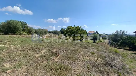 Land for sale in Tomar, Portugal — €55,000