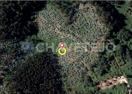 listing-6wawUy0yOu7