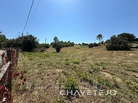 image-7OOUVPgZcDq-0