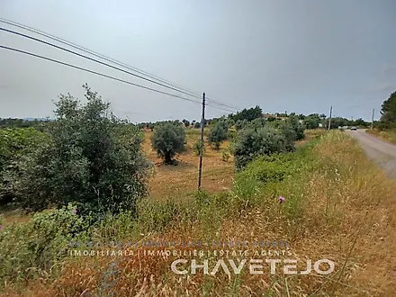 image-9iuxkgP0lvh-0