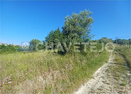Land for sale in Tomar, Portugal — €65,000