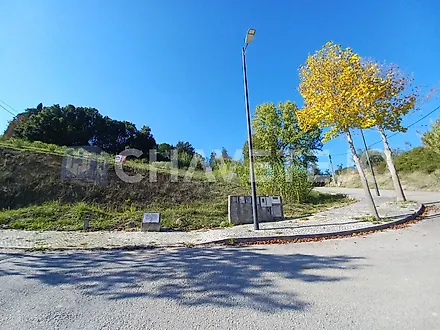 Land for sale in Tomar, Portugal — €65,000