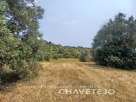 image-BP8XCiLBVRh-0