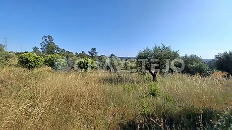Terreno em Tomar