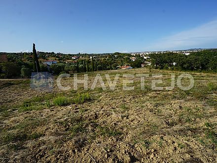 Land for sale in Tomar, Portugal — €140,000