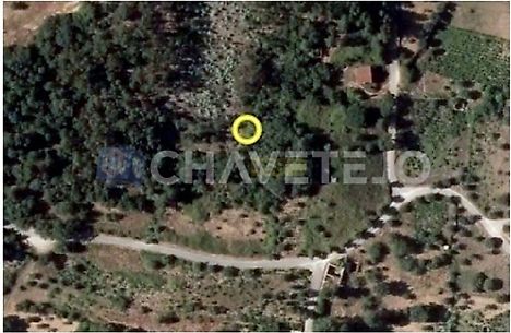 listing-oXWcj2Sci1