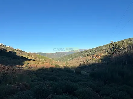 image-BCwzR0axdzV-0