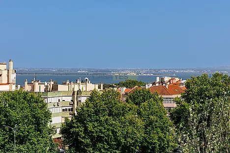 image-6g34g2s83x8-0