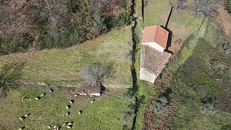 image-L4vK7AFP9CS-0