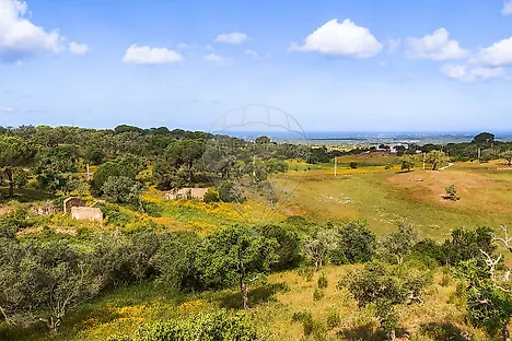 Land for sale in Grândola, Portugal — €1,500,000