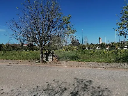 image-C8lGqFD9fbj-0