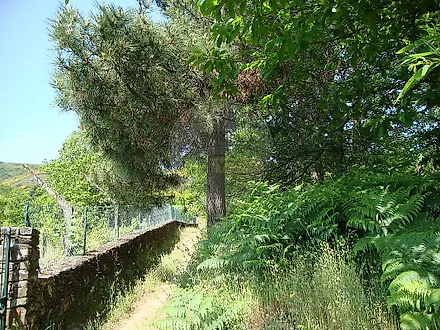 image-I30UX8wEYj9-0
