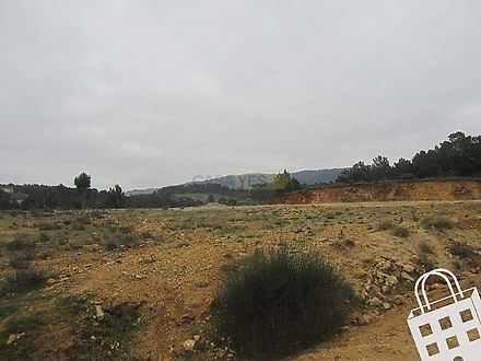 image-IB1E3ytRd0h-0